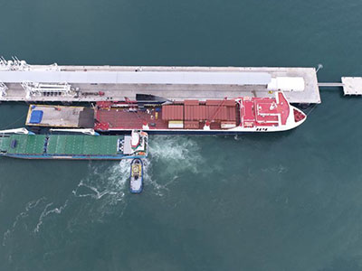 Altamar Gallery - 26